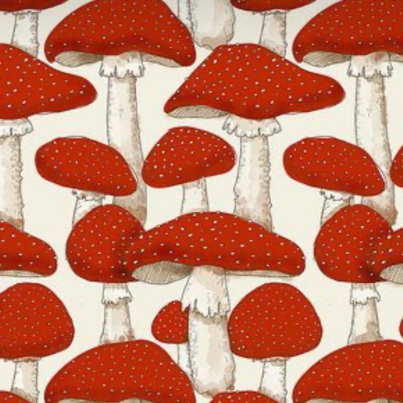 Welcome ❤️ - Picture 2 of 3